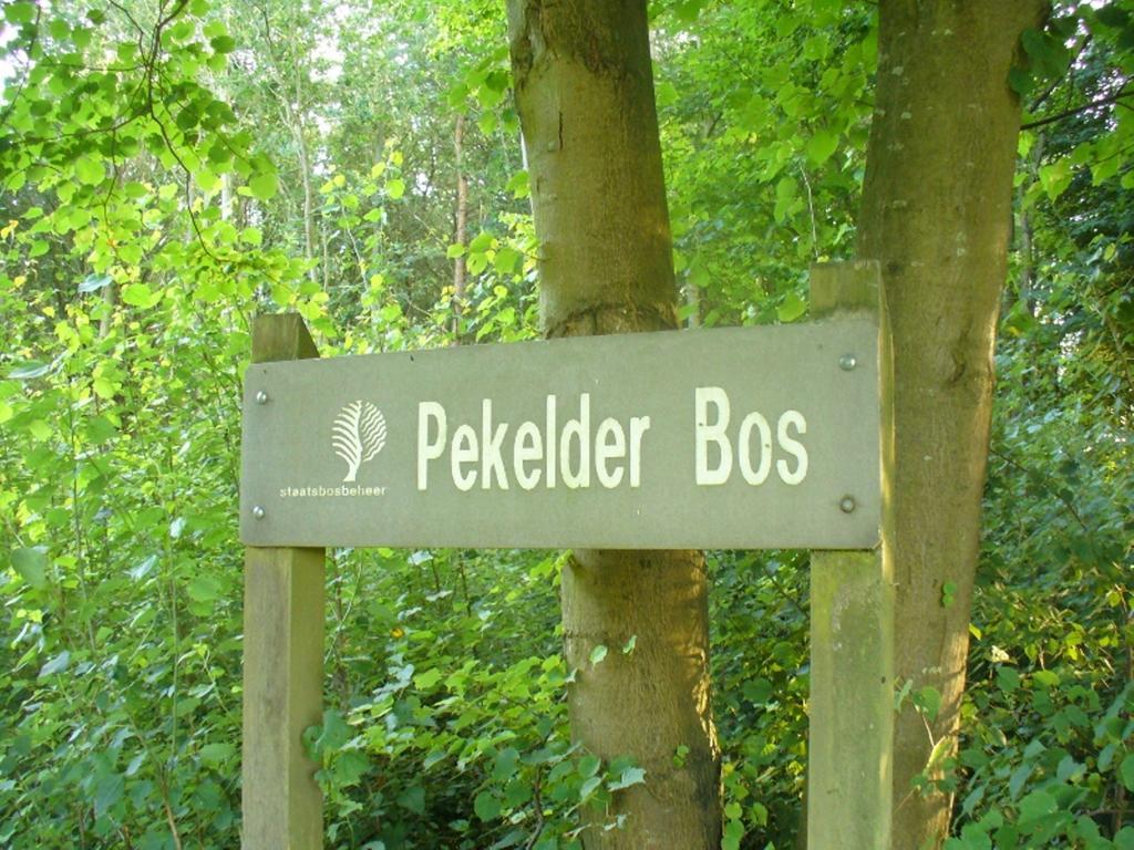 B&B De Wiekeborg Oude Pekela Exterior foto